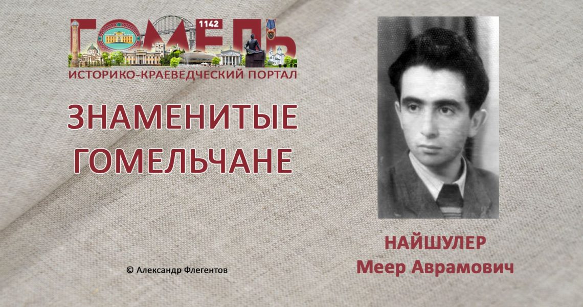 najshuler-meer-avramovich